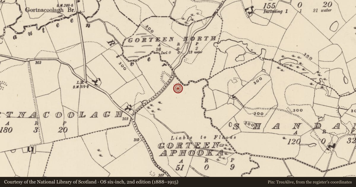 Ordnance Survey six-inch map, 2nd edition (1888–1915) covering the location of Enclosure, Gorteenaphooka, County Tipperary South, with a pin at the register's coordinates