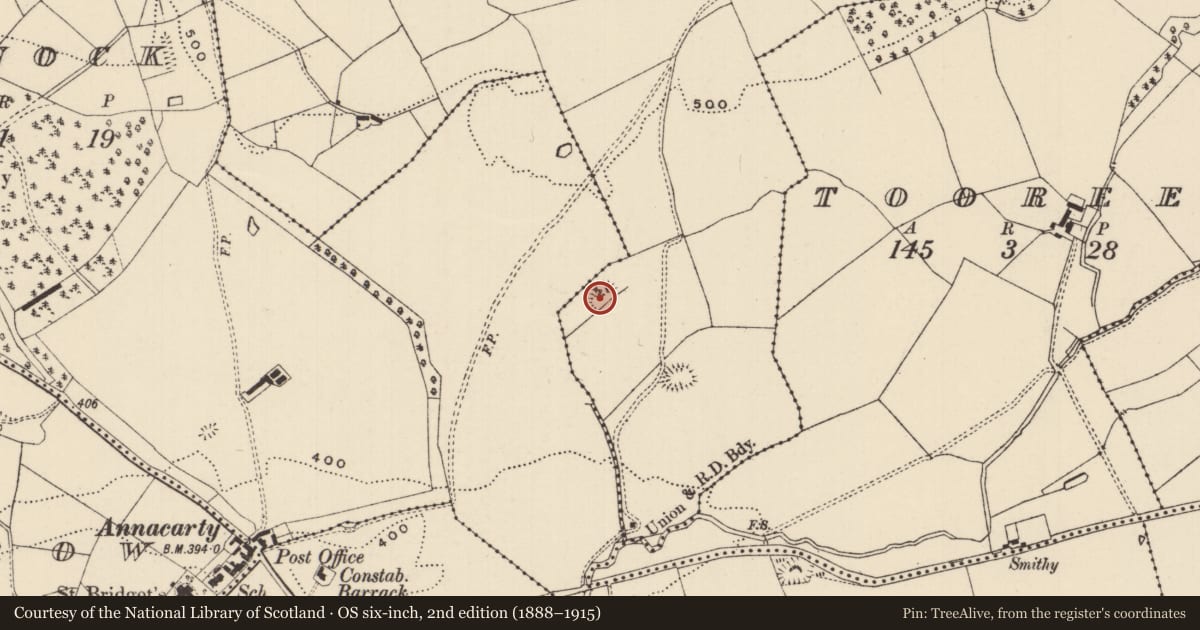 Ordnance Survey six-inch map, 2nd edition (1888–1915) covering the location of Enclosure, Ballysheeda (Donohill Par.), County Tipperary South, with a pin at the register's coordinates