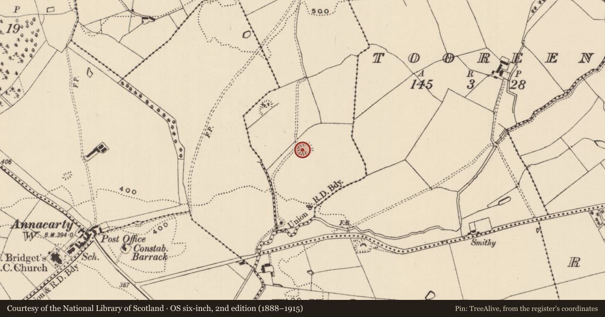 Ordnance Survey six-inch map, 2nd edition (1888–1915) covering the location of Enclosure, Ballysheeda (Donohill Par.), County Tipperary South, with a pin at the register's coordinates