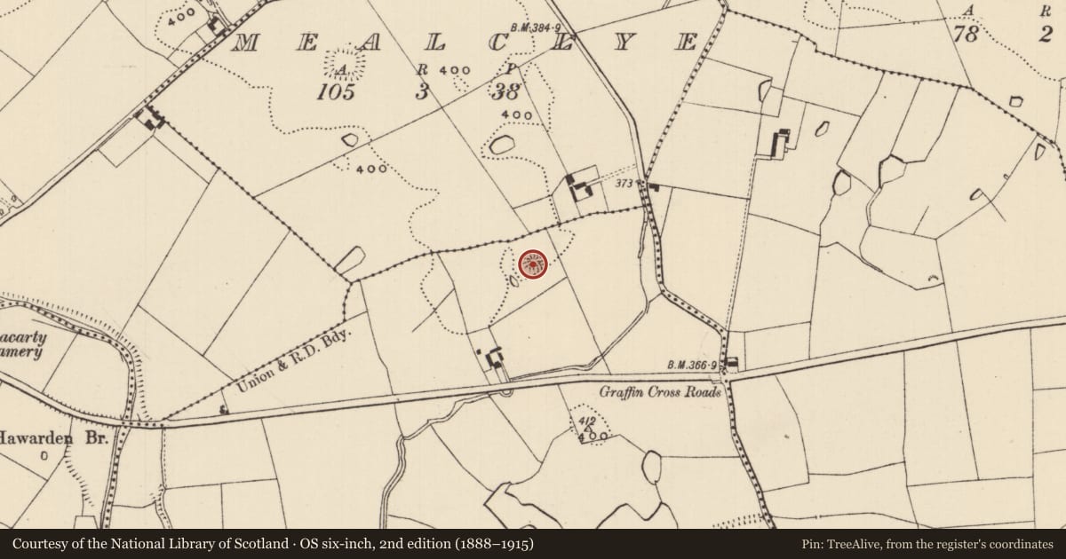Ordnance Survey six-inch map, 2nd edition (1888–1915) covering the location of Ringfort - rath, Graffin (Donohill Par.), County Tipperary South, with a pin at the register's coordinates