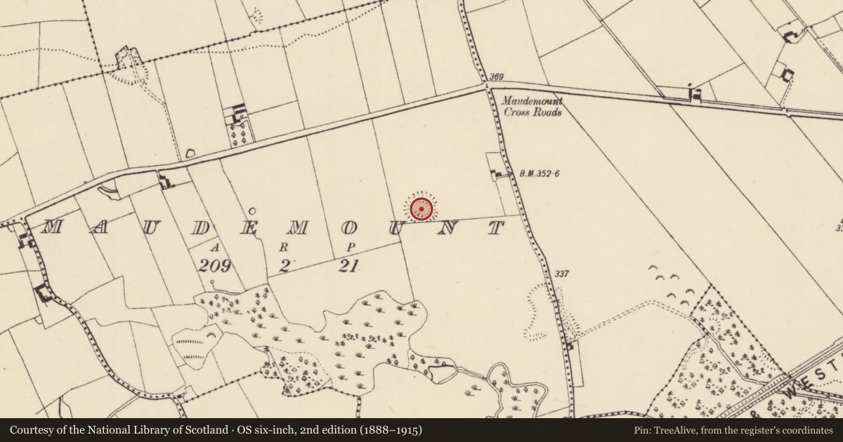 Ordnance Survey six-inch map, 2nd edition (1888–1915) covering the location of Enclosure, Maudemount, County Tipperary South, with a pin at the register's coordinates