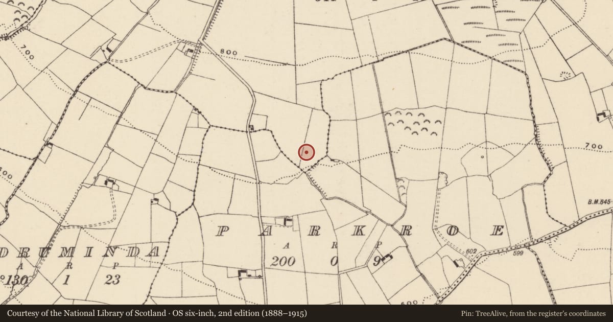 Ordnance Survey six-inch map, 2nd edition (1888–1915) covering the location of Enclosure, Kilmore (Toem Par.), County Tipperary South, with a pin at the register's coordinates