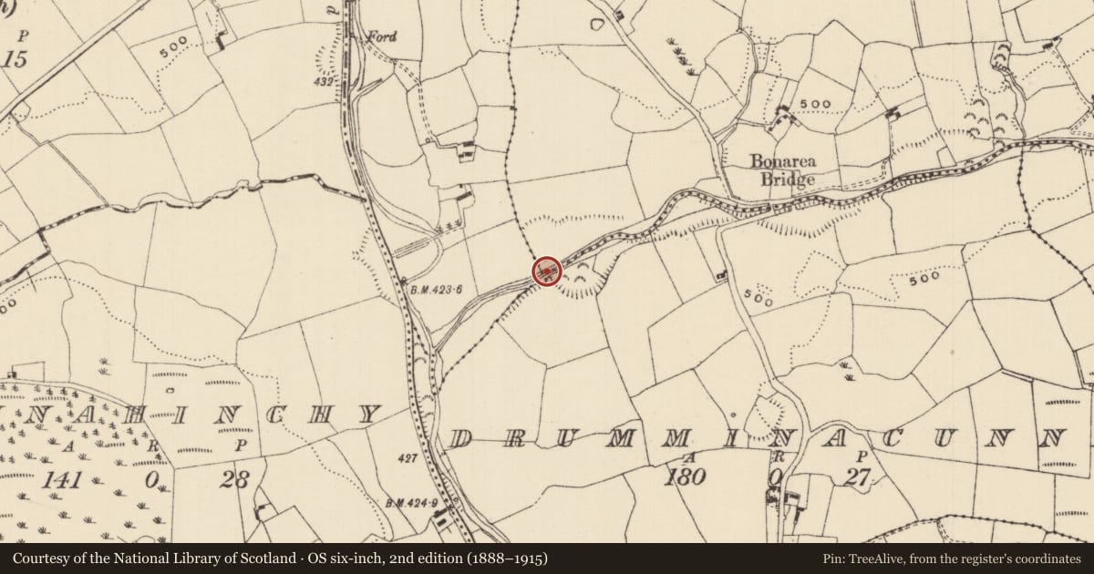 Ordnance Survey six-inch map, 2nd edition (1888–1915) covering the location of Enclosure, Bonarea, Lackenacoombe, County Tipperary South, with a pin at the register's coordinates