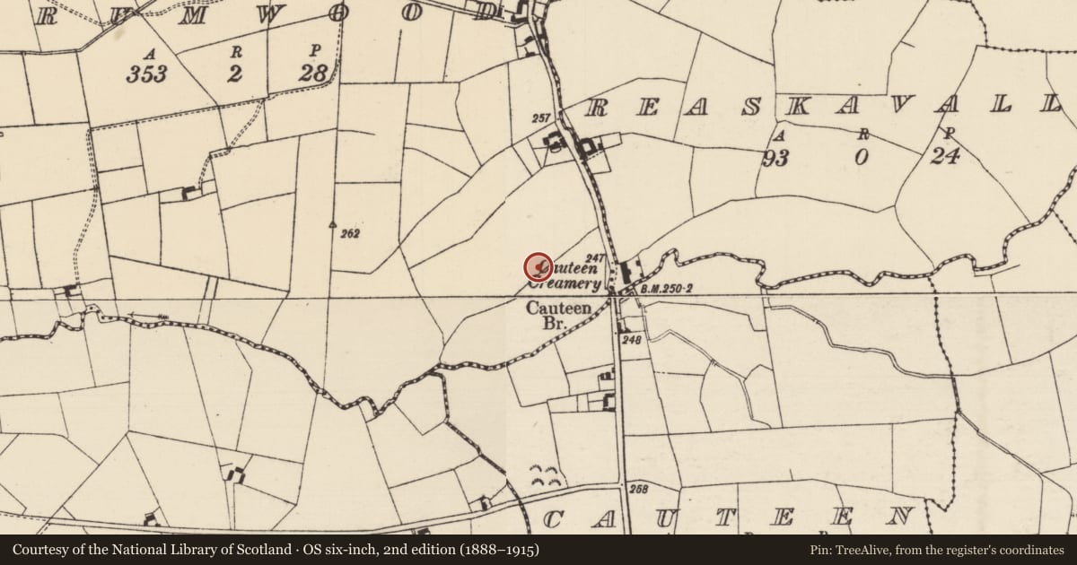 Ordnance Survey six-inch map, 2nd edition (1888–1915) covering the location of Barrow - ring-barrow, Drumwood (Solloghodmore Par.), County Tipperary South, with a pin at the register's coordinates