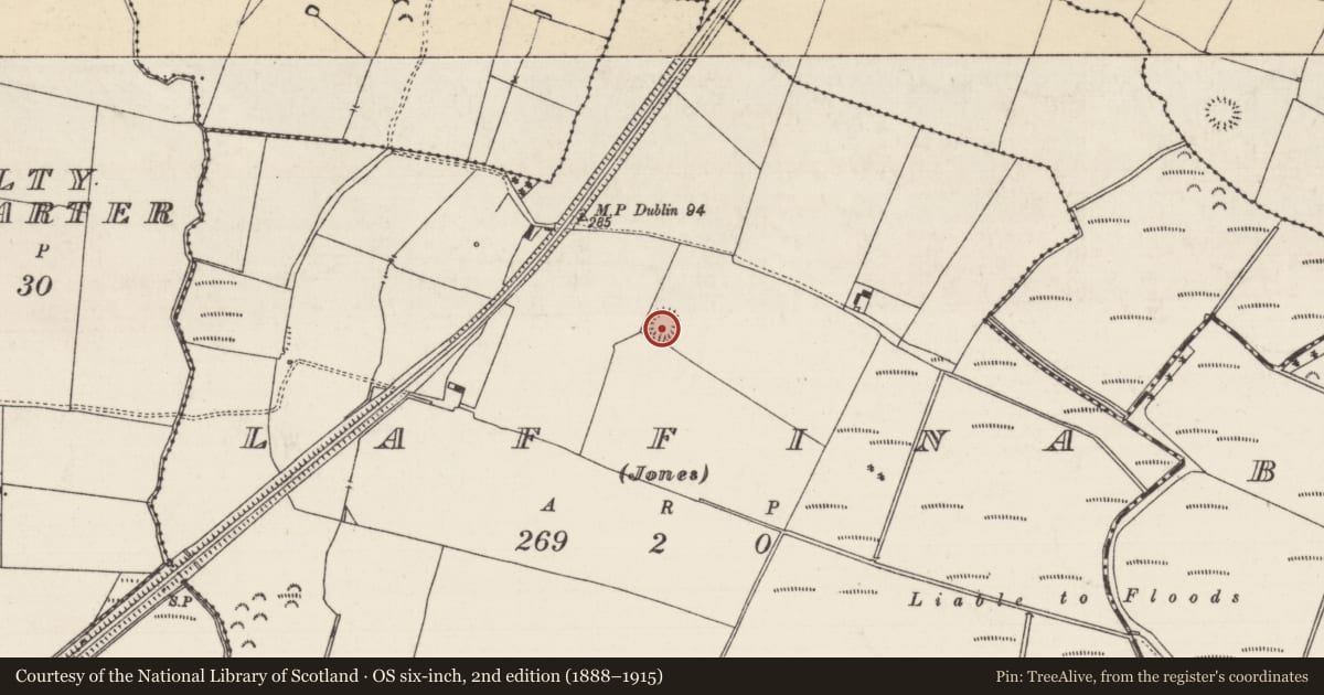 Ordnance Survey six-inch map, 2nd edition (1888–1915) covering the location of Ringfort - rath, Laffina (Jones), County Tipperary South, with a pin at the register's coordinates