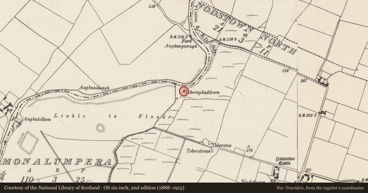 Ordnance Survey six-inch map, 2nd edition (1888–1915) covering the location of Ritual site - holy well, Nodstown, County Tipperary South, with a pin at the register's coordinates