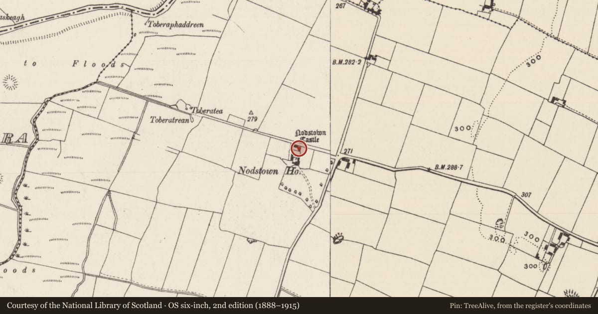 Ordnance Survey six-inch map, 2nd edition (1888–1915) covering the location of Castle - tower house, Nodstown, County Tipperary South, with a pin at the register's coordinates