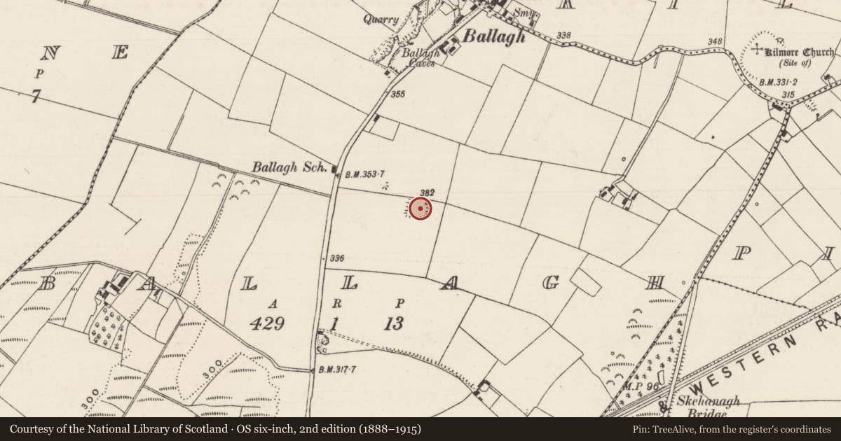 Ordnance Survey six-inch map, 2nd edition (1888–1915) covering the location of Moated site, Ballagh (Clonoulty Par.), County Tipperary South, with a pin at the register's coordinates