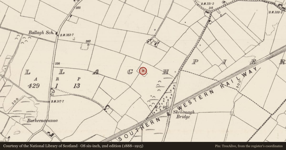 Ordnance Survey six-inch map, 2nd edition (1888–1915) covering the location of Enclosure, Ballagh (Clonoulty Par.), County Tipperary South, with a pin at the register's coordinates