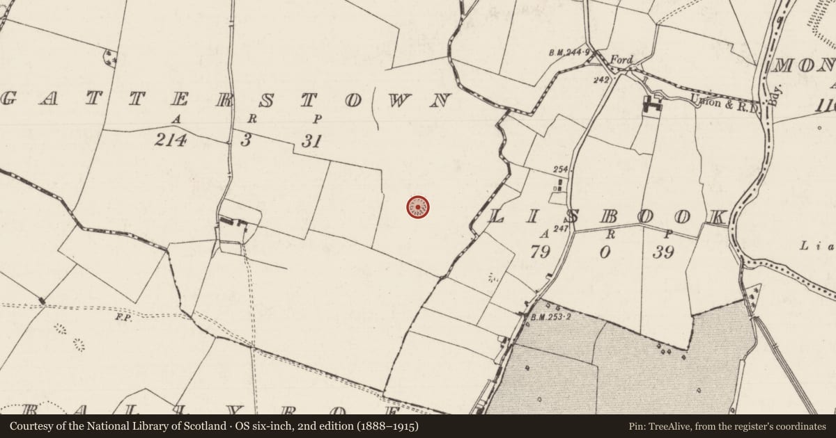 Ordnance Survey six-inch map, 2nd edition (1888–1915) covering the location of Moated site, Gatterstown, County Tipperary South, with a pin at the register's coordinates