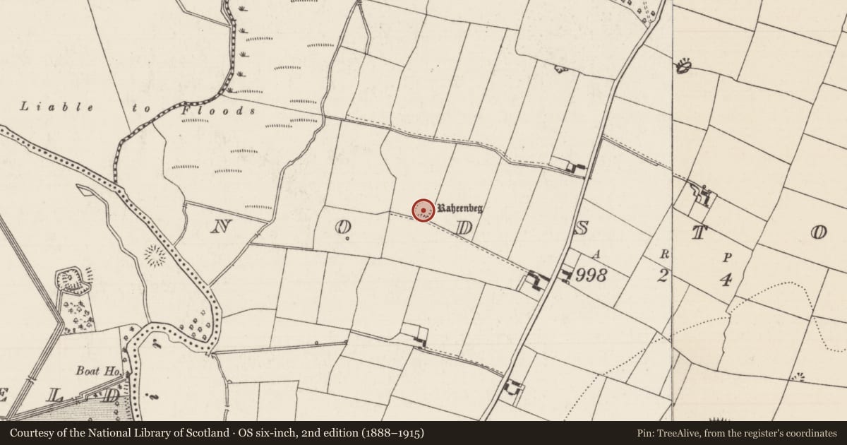 Ordnance Survey six-inch map, 2nd edition (1888–1915) covering the location of Castle - ringwork, Nodstown, County Tipperary South, with a pin at the register's coordinates