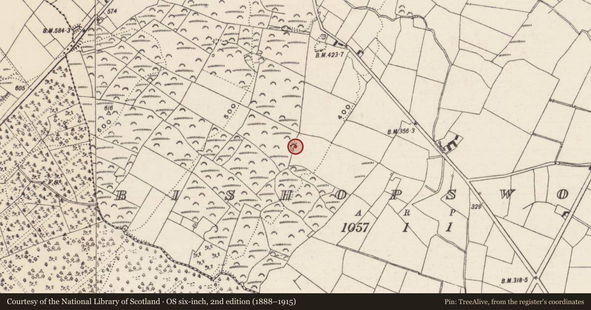 Ordnance Survey six-inch map, 2nd edition (1888–1915) covering the location of Barrow - mound barrow, Bishopswood, County Tipperary South, with a pin at the register's coordinates