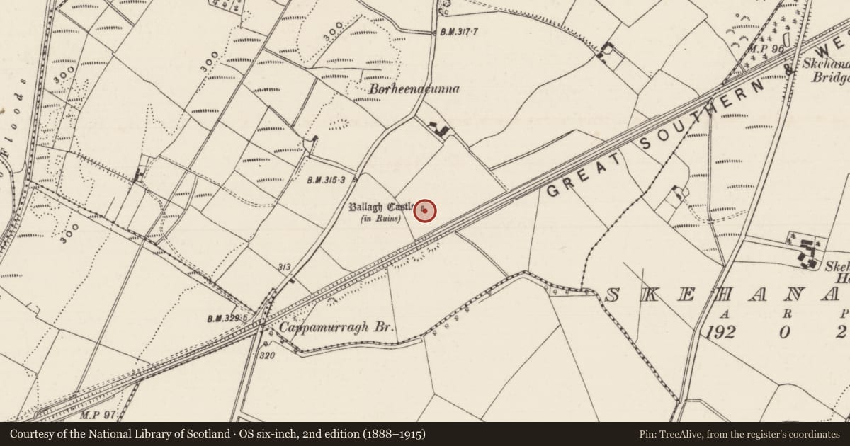 Ordnance Survey six-inch map, 2nd edition (1888–1915) covering the location of Castle - tower house, Ballagh (Clonoulty Par.), County Tipperary South, with a pin at the register's coordinates