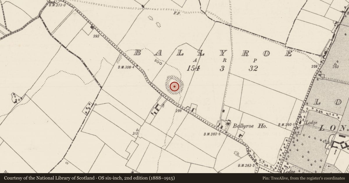 Ordnance Survey six-inch map, 2nd edition (1888–1915) covering the location of Ringfort - rath, Ballyroe, County Tipperary South, with a pin at the register's coordinates