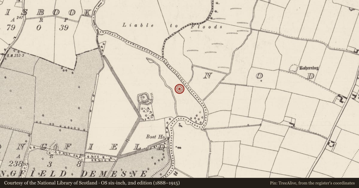 Ordnance Survey six-inch map, 2nd edition (1888–1915) covering the location of Enclosure, Longfield, County Tipperary South, with a pin at the register's coordinates