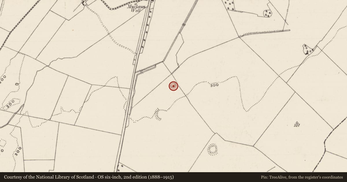 Ordnance Survey six-inch map, 2nd edition (1888–1915) covering the location of Ringfort - rath, Ballymore, County Tipperary South, with a pin at the register's coordinates