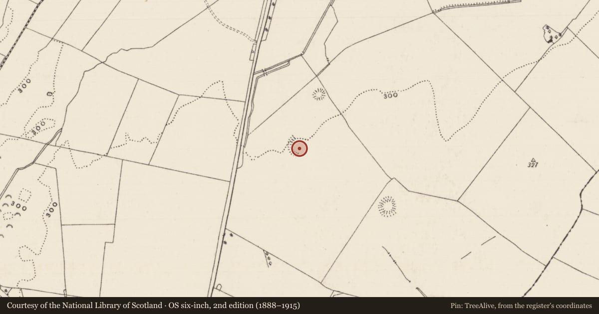 Ordnance Survey six-inch map, 2nd edition (1888–1915) covering the location of Enclosure, Ballymore, County Tipperary South, with a pin at the register's coordinates