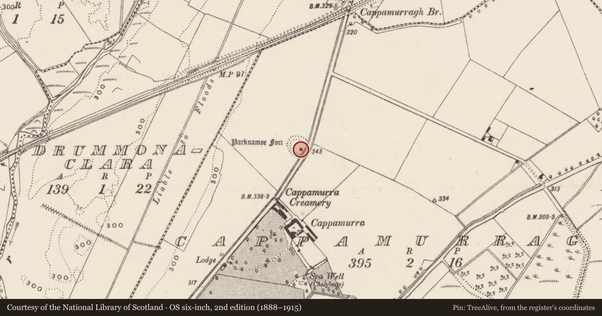 Ordnance Survey six-inch map, 2nd edition (1888–1915) covering the location of Ringfort - rath, Cappamurragh, County Tipperary South, with a pin at the register's coordinates