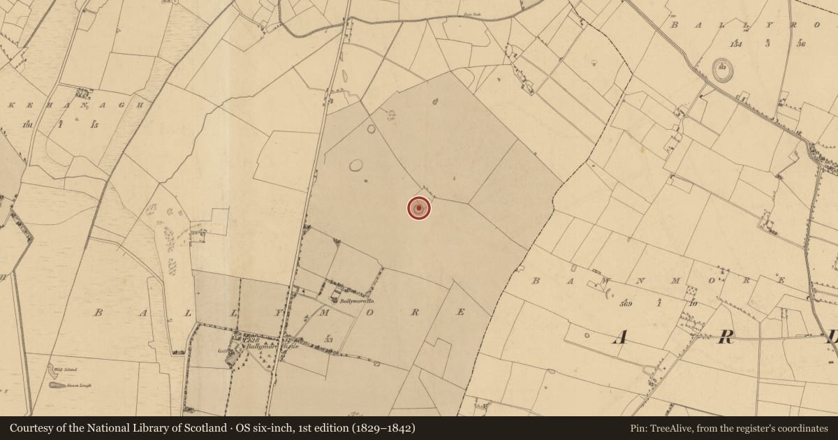 Ordnance Survey six-inch map, 1st edition (1829–1842) covering the location of Ringfort - rath, Ballymore, County Tipperary South, with a pin at the register's coordinates