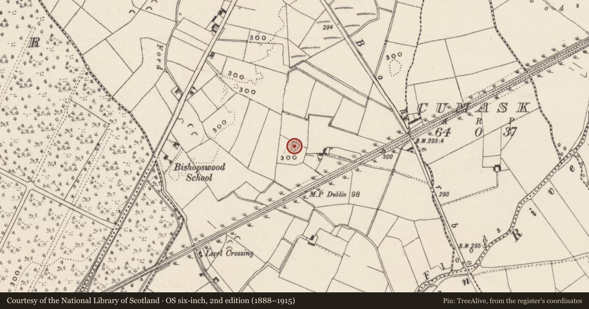Ordnance Survey six-inch map, 2nd edition (1888–1915) covering the location of Enclosure, Bishopswood, County Tipperary South, with a pin at the register's coordinates