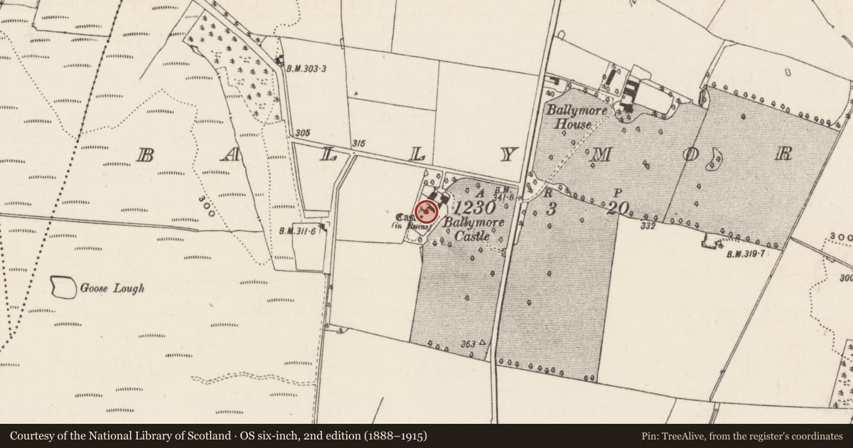 Ordnance Survey six-inch map, 2nd edition (1888–1915) covering the location of Castle - unclassified, Ballymore, County Tipperary South, with a pin at the register's coordinates