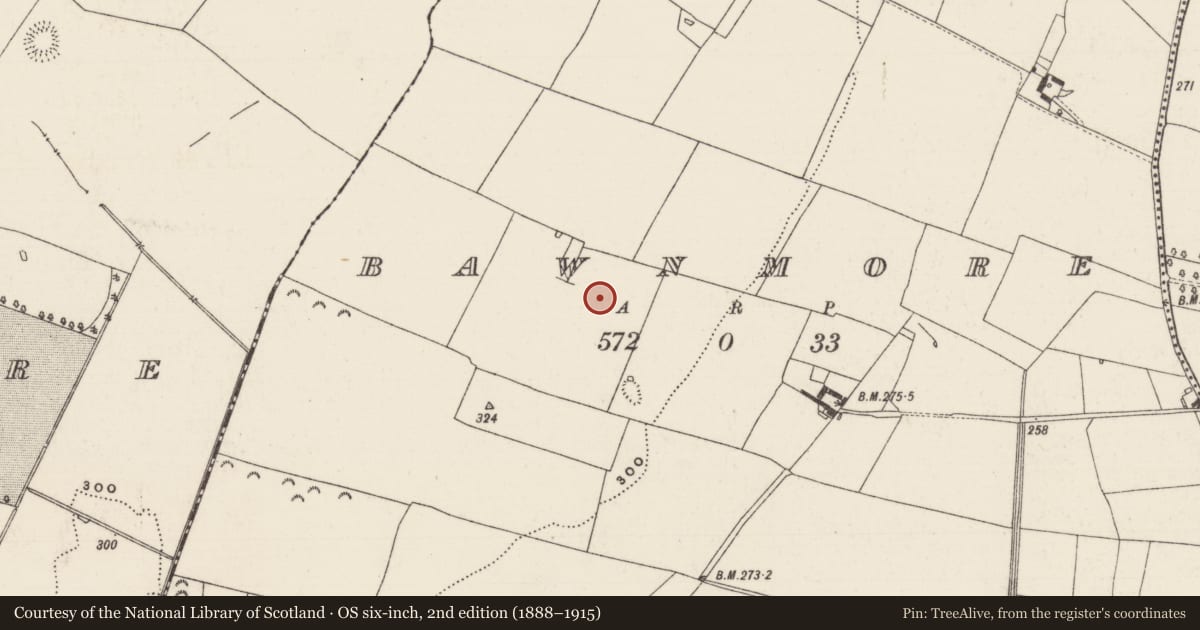Ordnance Survey six-inch map, 2nd edition (1888–1915) covering the location of Enclosure, Bawnmore (Ardmayle Par.), County Tipperary South, with a pin at the register's coordinates