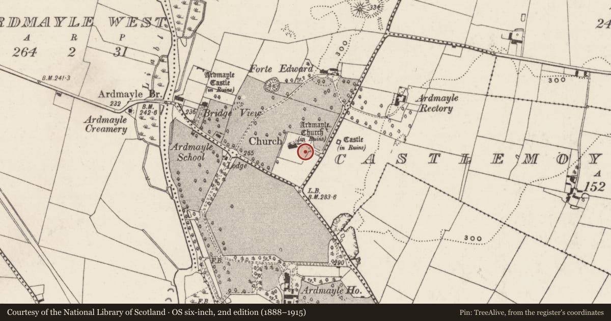 Ordnance Survey six-inch map, 2nd edition (1888–1915) covering the location of Graveyard, Ardmayle, County Tipperary South, with a pin at the register's coordinates
