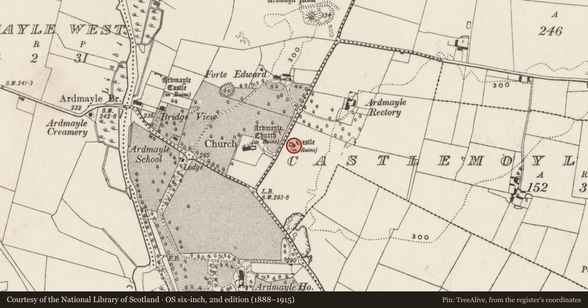 Ordnance Survey six-inch map, 2nd edition (1888–1915) covering the location of Castle - tower house, Castlemoyle North, County Tipperary South, with a pin at the register's coordinates