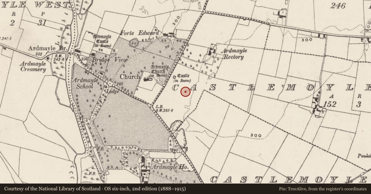 Ordnance Survey six-inch map, 2nd edition (1888–1915) covering the location of Field system, Ardmayle, Castlemoyle North, County Tipperary South, with a pin at the register's coordinates