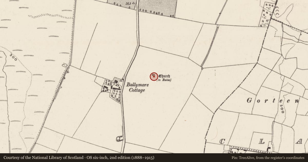Ordnance Survey six-inch map, 2nd edition (1888–1915) covering the location of Church, Ballymore, County Tipperary South, with a pin at the register's coordinates