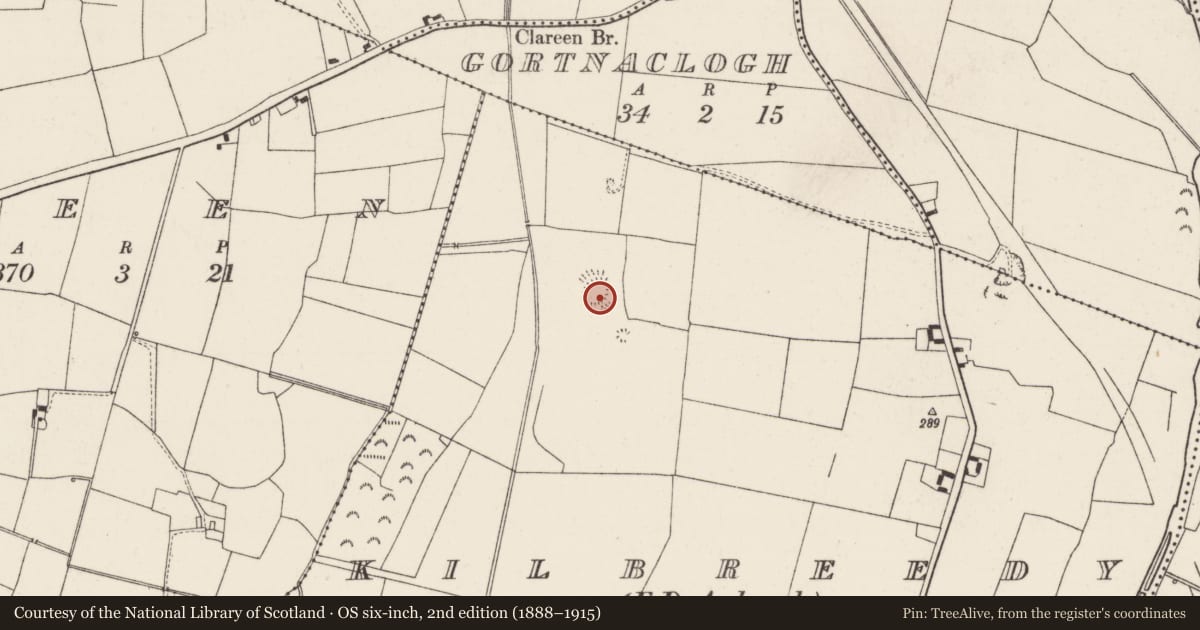 Ordnance Survey six-inch map, 2nd edition (1888–1915) covering the location of Ringfort - rath, Kilbreedy (Ardmayle Par.), County Tipperary South, with a pin at the register's coordinates