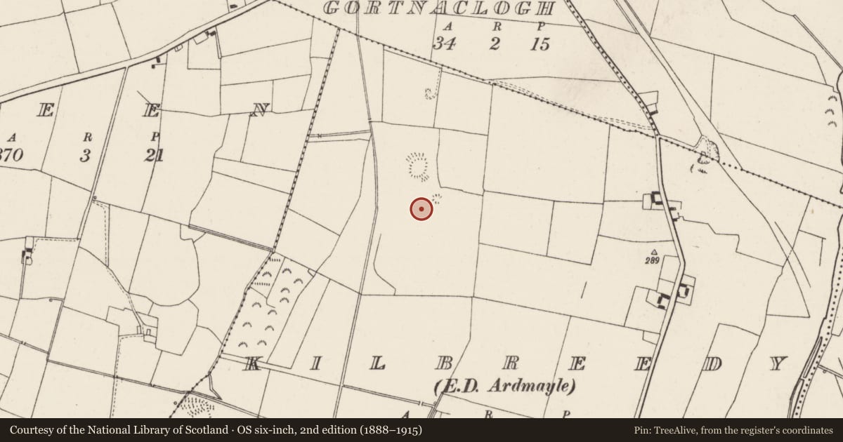 Ordnance Survey six-inch map, 2nd edition (1888–1915) covering the location of Enclosure, Kilbreedy (Ardmayle Par.), County Tipperary South, with a pin at the register's coordinates