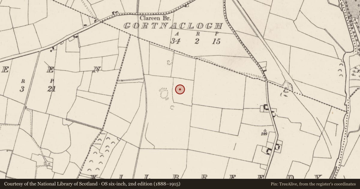 Ordnance Survey six-inch map, 2nd edition (1888–1915) covering the location of Earthwork, Kilbreedy (Ardmayle Par.), County Tipperary South, with a pin at the register's coordinates
