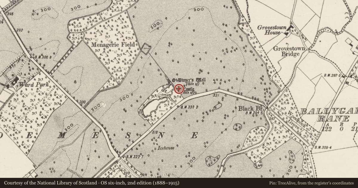 Ordnance Survey six-inch map, 2nd edition (1888–1915) covering the location of Castle - unclassified, Dundrum, County Tipperary South, with a pin at the register's coordinates