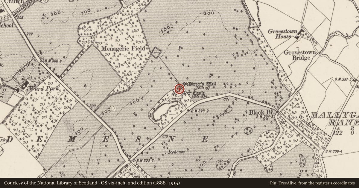 Ordnance Survey six-inch map, 2nd edition (1888–1915) covering the location of Well, Dundrum, County Tipperary South, with a pin at the register's coordinates