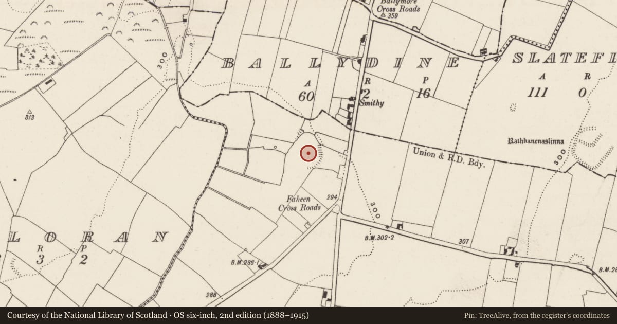 Ordnance Survey six-inch map, 2nd edition (1888–1915) covering the location of Enclosure, Kilshenane, County Tipperary South, with a pin at the register's coordinates