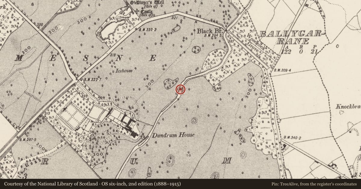 Ordnance Survey six-inch map, 2nd edition (1888–1915) covering the location of Bridge, Dundrum, County Tipperary South, with a pin at the register's coordinates