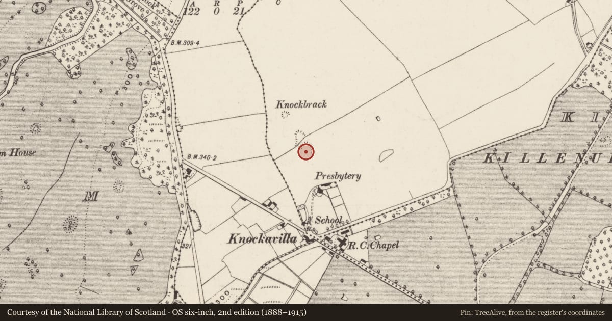 Ordnance Survey six-inch map, 2nd edition (1888–1915) covering the location of Ringfort - rath, Clonaspoe, County Tipperary South, with a pin at the register's coordinates