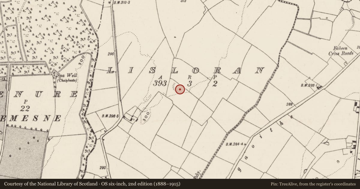Ordnance Survey six-inch map, 2nd edition (1888–1915) covering the location of Enclosure, Lisloran, County Tipperary South, with a pin at the register's coordinates