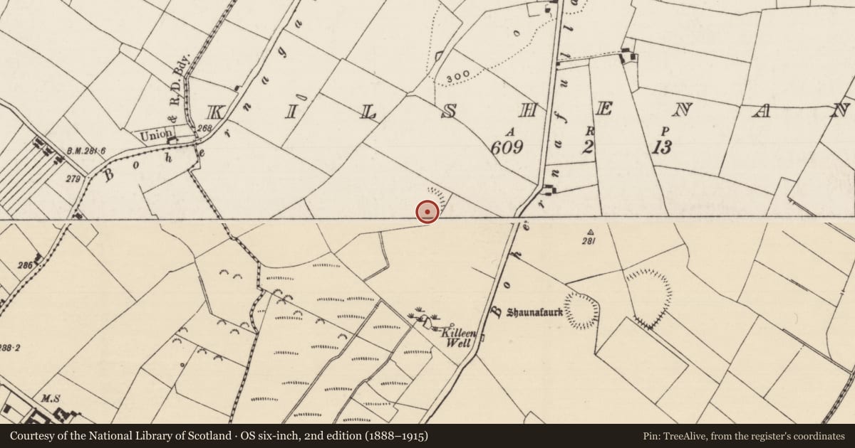 Ordnance Survey six-inch map, 2nd edition (1888–1915) covering the location of Enclosure, Kilshenane, County Tipperary South, with a pin at the register's coordinates