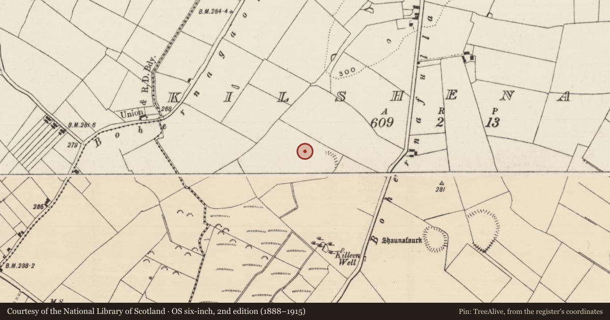 Ordnance Survey six-inch map, 2nd edition (1888–1915) covering the location of Building, Kilshenane, County Tipperary South, with a pin at the register's coordinates