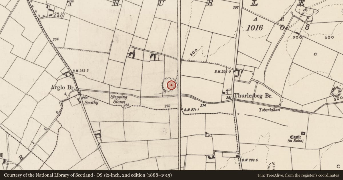 Ordnance Survey six-inch map, 2nd edition (1888–1915) covering the location of Ringfort - rath, Thurlesbeg, County Tipperary South, with a pin at the register's coordinates