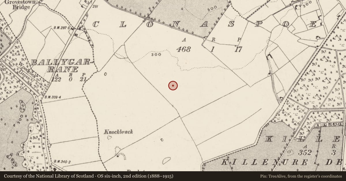 Ordnance Survey six-inch map, 2nd edition (1888–1915) covering the location of Standing stone, Clonaspoe, County Tipperary South, with a pin at the register's coordinates