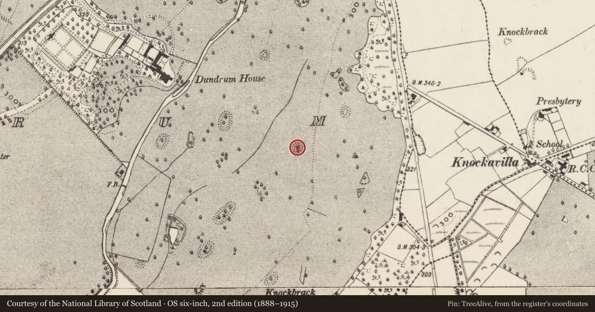 Ordnance Survey six-inch map, 2nd edition (1888–1915) covering the location of Designed landscape - tree-ring, Dundrum, County Tipperary South, with a pin at the register's coordinates
