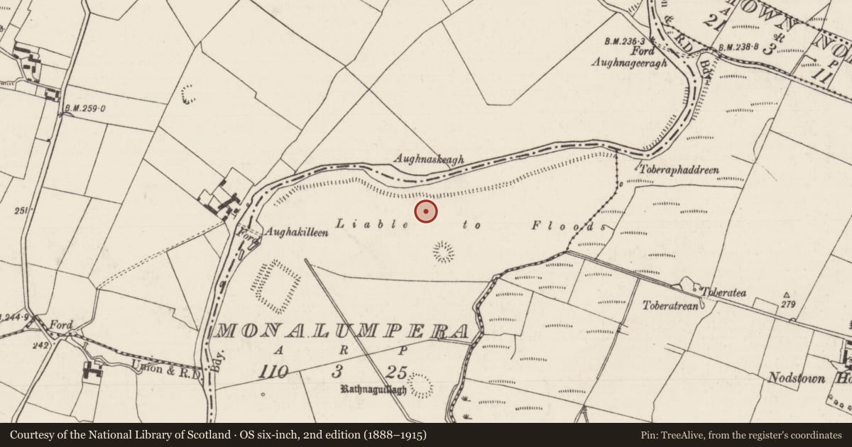 Ordnance Survey six-inch map, 2nd edition (1888–1915) covering the location of Enclosure, Monalumpera, County Tipperary South, with a pin at the register's coordinates
