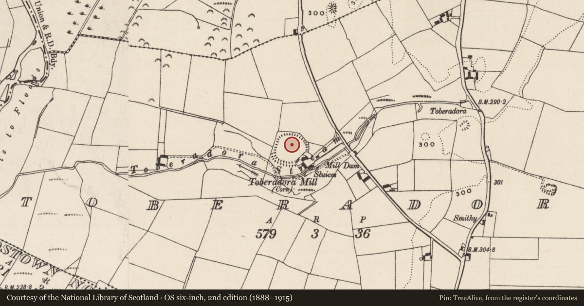 Ordnance Survey six-inch map, 2nd edition (1888–1915) covering the location of Enclosure, Toberadora, County Tipperary South, with a pin at the register's coordinates