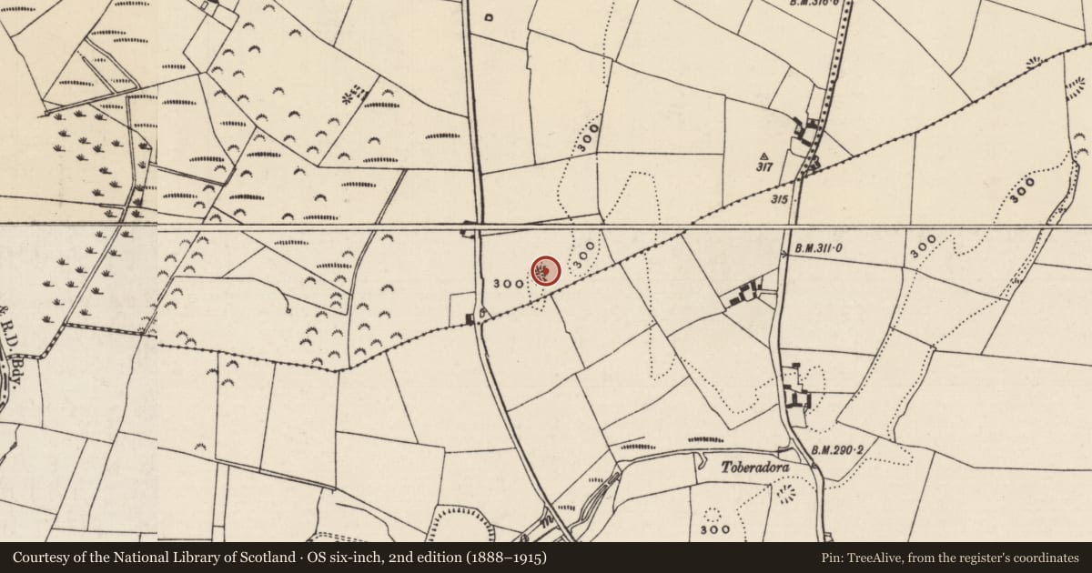 Ordnance Survey six-inch map, 2nd edition (1888–1915) covering the location of Enclosure, Glenbane Lower, County Tipperary South, with a pin at the register's coordinates