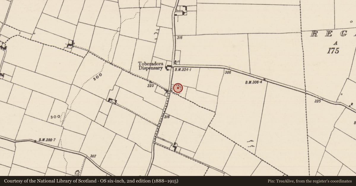 Ordnance Survey six-inch map, 2nd edition (1888–1915) covering the location of Ringfort - rath, Nodstown South, Toberadora, County Tipperary South, with a pin at the register's coordinates