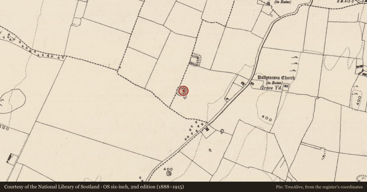 Ordnance Survey six-inch map, 2nd edition (1888–1915) covering the location of Ringfort - rath, Aughnagomaun, Ballytarsna (Hackett), County Tipperary South, with a pin at the register's coordinates