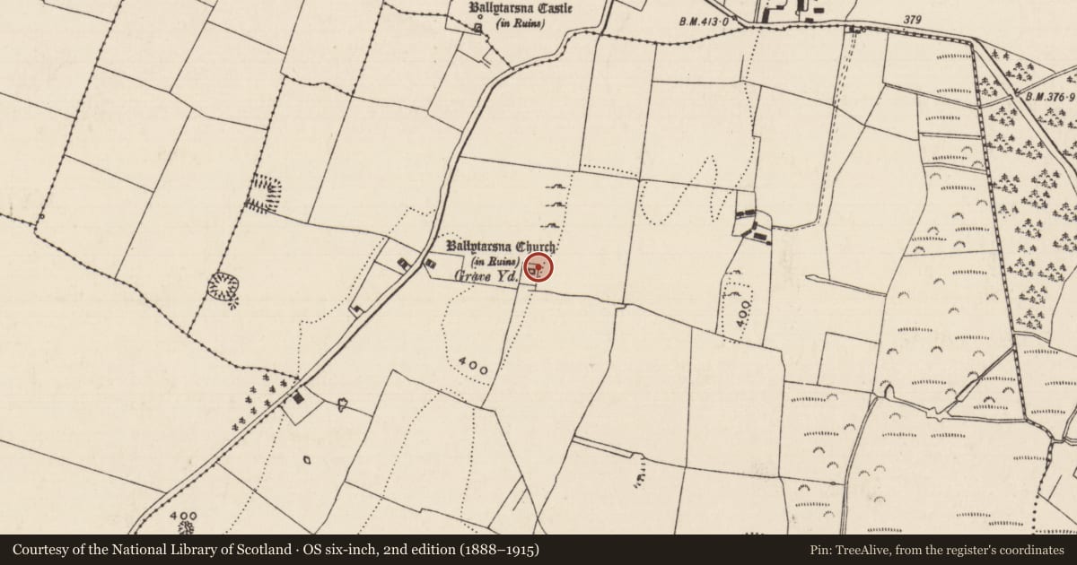 Ordnance Survey six-inch map, 2nd edition (1888–1915) covering the location of Graveslab, Ballytarsna (Hackett), County Tipperary South, with a pin at the register's coordinates